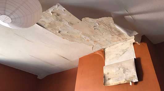 besoin d'une rénovation après des dégâts des eaux à paris 8 ? notre équipe spécialisée intervient rapidement pour diagnostiquer, assécher et rénover votre logement ou local afin de retrouver un intérieur sain et sécurisé.