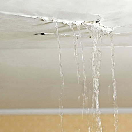 vous cherchez une rénovation après des dégâts des eaux à paris 8 ? notre équipe spécialisée intervient rapidement pour remettre votre logement ou local en état, avec des solutions durables et sur-mesure. devis gratuit, prise en charge assurance.