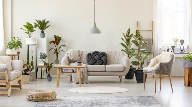 découvrez nos astuces incontournables pour transformer votre intérieur facilement, gagner en confort et réinventer votre espace selon vos envies.