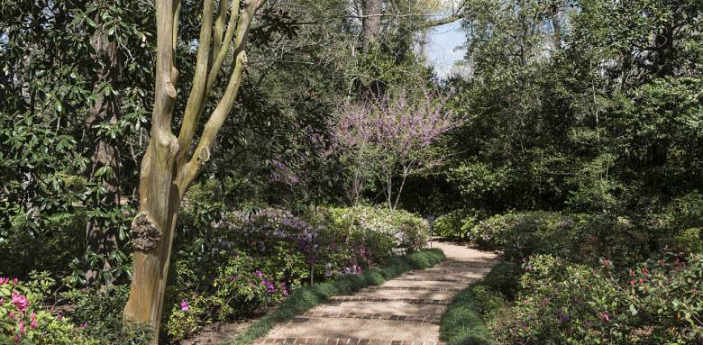 découvrez comment choisir les meilleurs matériaux pour aménager une allée de jardin à la fois esthétique, durable et adaptée à vos besoins. conseils, astuces et inspirations pour réussir votre projet extérieur !