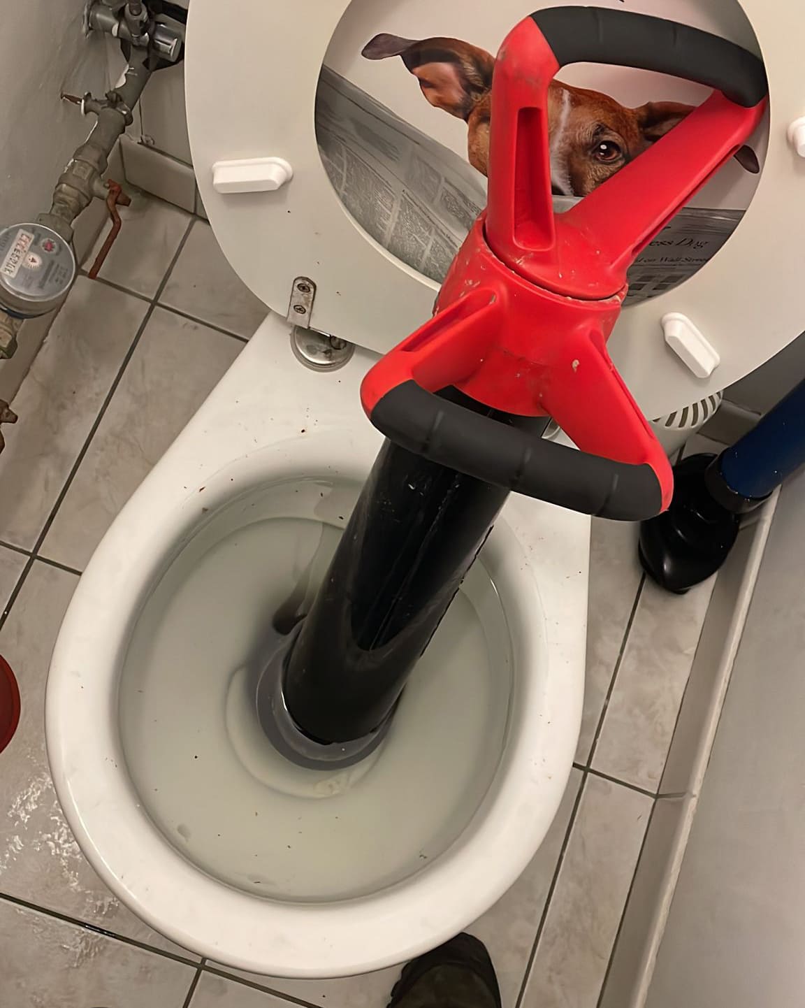 service de débouchage wc rapide et efficace au châtelet-en-brie. intervention professionnelle pour toilettes bouchées, devis gratuit et disponibilité 7j/7.