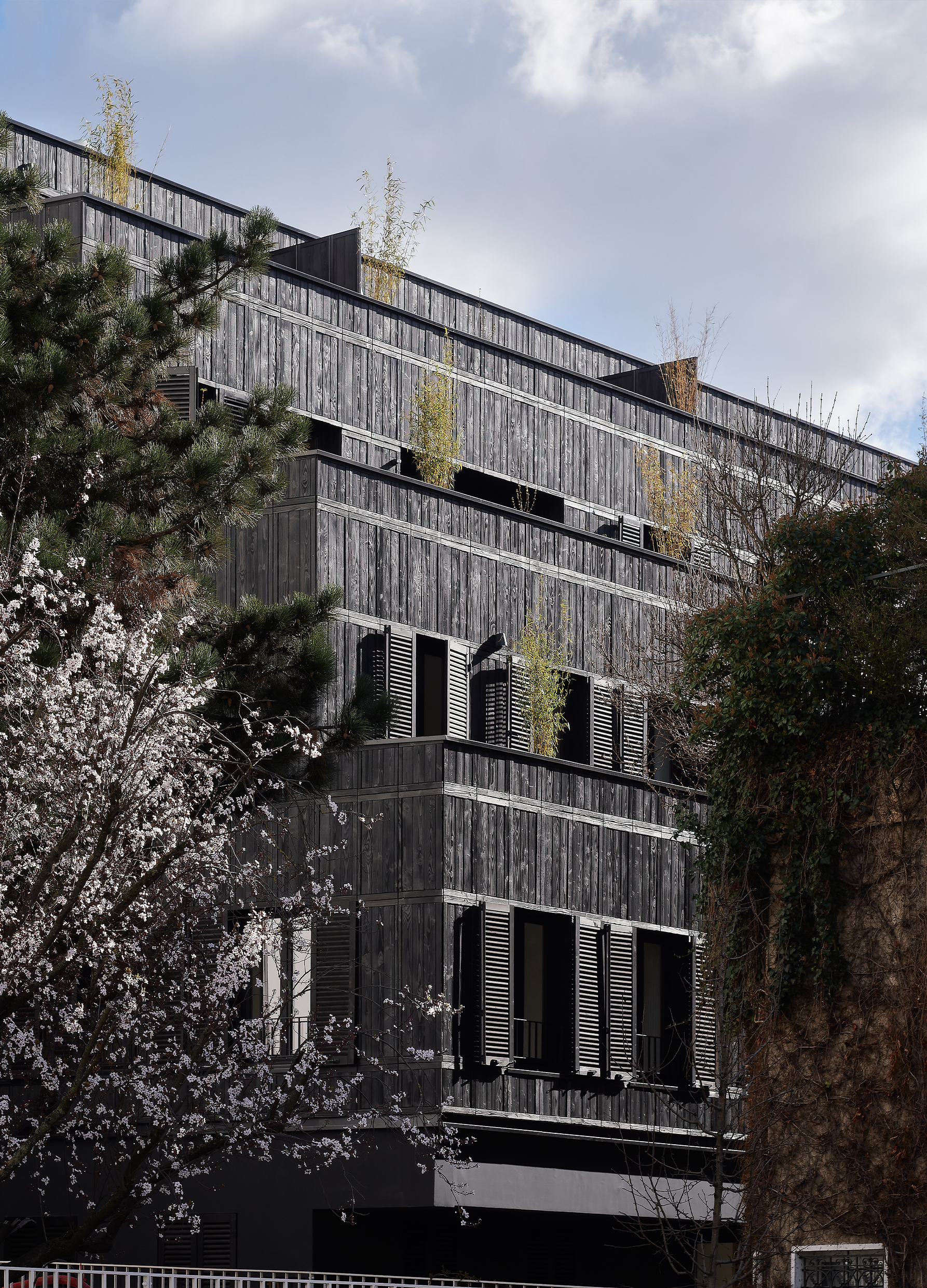 expert en rénovation de logement à paris 75020 : transformations sur mesure, qualité et respect des délais pour votre habitat.